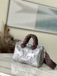 Louis Vuitton  Speedy25 M20973 Pillow Silver