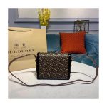 Burberry Small Monogram Print E-canvas Grace Bag 80264311