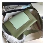 Celine Frame Medium Shoulder Bag 180263 Green/Light Green