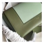 Celine Frame Medium Shoulder Bag 180263 Green/Light Green