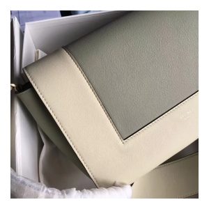 celine-frame-medium-shoulder-bag-180263-whitelight-green-2.jpg