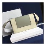 Celine Frame Medium Shoulder Bag 180263 White/Light Green