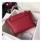 Celine Micro Belt Bag In Grained Calfskin 189153 Ruby