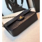 Chanel Alligator Flap Classic Bag 1112