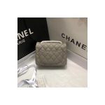 Chanel Caviar Leathe 17cm Classic Flap Bag 1115