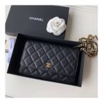 Chanel Caviar Quilted Wallet On Chain Woc A33814