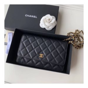 chanel-caviar-quilted-wallet-on-chain-woc-a33814-2.jpg