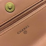 Chanel Goatskin Quilted 19 WOC Flap Bag On Chain 422740