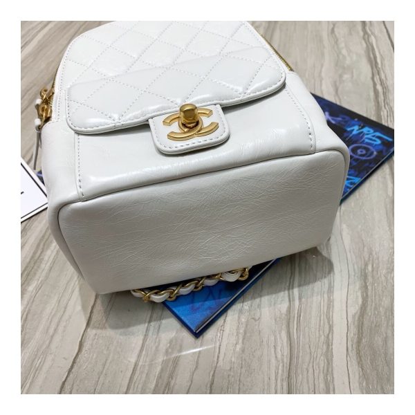 Chanel Waxy Calfskin CC Day Backpack Bag AS8866