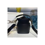 Chloe Roy Mini Smooth Leather Bucket Bag 3S508