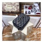 Christian Dior Oblique Cosmetic Case 481050