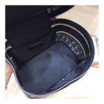 Christian Dior Travel Vanity Bag S5417