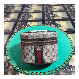 gucci-ophidia-gg-cosmetic-case-611001-2.jpg