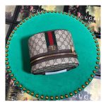 Gucci Ophidia GG Cosmetic Case 611001