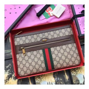 gucci-ophidia-gg-supreme-pouch-517551-2.jpg