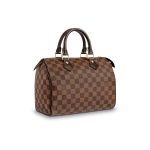 Louis Vuitton Damier Ebene Canvas Speedy 25 N41365