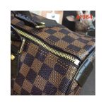 Louis Vuitton Damier Ebene Canvas Speedy 30 N41364