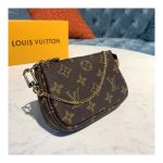 Louis Vuitton Mini Pochette Accessoires M58009