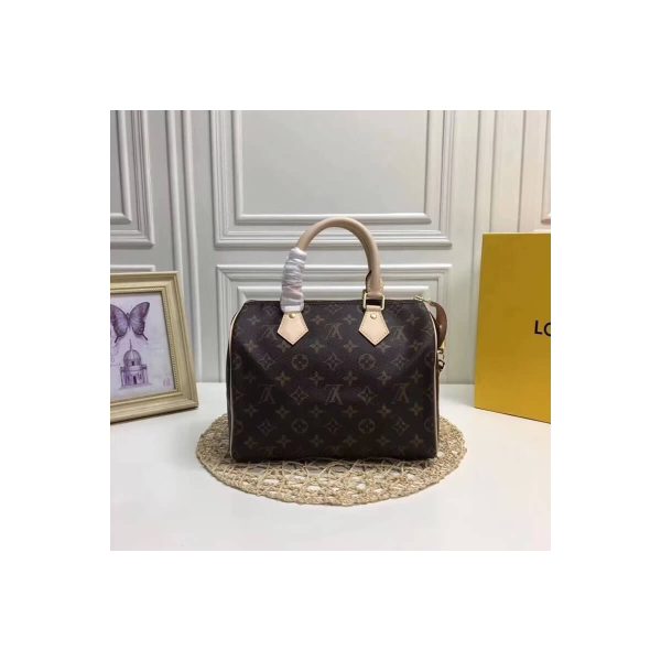 Louis Vuitton Monogram Canvas Speedy 25 M41109