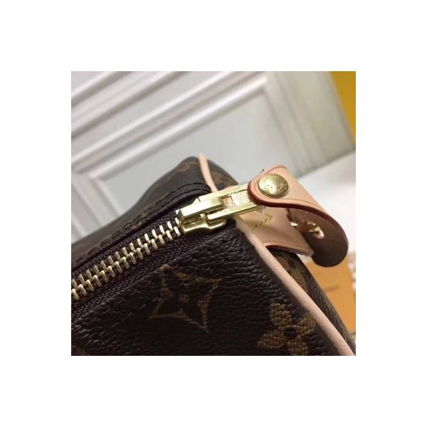 Louis Vuitton Monogram Canvas Speedy 25 M41109