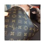 Louis Vuitton Monogram Canvas Speedy 30 M41108