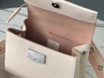 Louis Vuitton Cluny Mini M58928 White