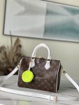 Louis Vuitton Monogram Speedy 25 M20754