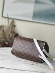 Louis Vuitton Monogram Speedy 25 M20754