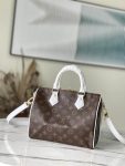 Louis Vuitton Monogram Speedy 25 M20754