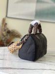 Louis Vuitton SPEEDY 25 Pillow Econyl Black Beige M59008