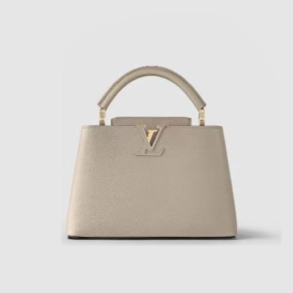 Louis Vuitton Capucines GM Grey M48870