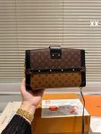 Louis Vuitton Trunk Clutch M43596