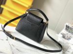 Louis Vuitton Lizard Black Capucines Mini BB N99527 N99528