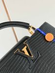 Louis Vuitton Lizard Black Capucines Mini BB N99527 N99528