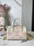 Louis Vuitton SPEEDY 20 M46667